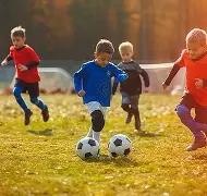 Tiny Auto Knights,手游快讯,188bet金宝博,188金宝博官网,188bet金宝博,188bet备用网址,188金宝博官网