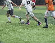 乳企股价因,育儿补贴政,策飙升,188金宝博官网,188bet金宝博,188bet备用网址,188金宝博官网